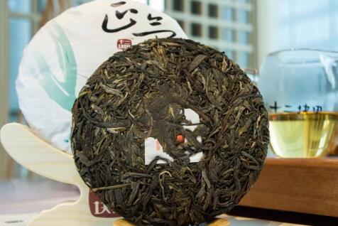 十二块田:“正气塘”发布 普洱茶版图再添佳品